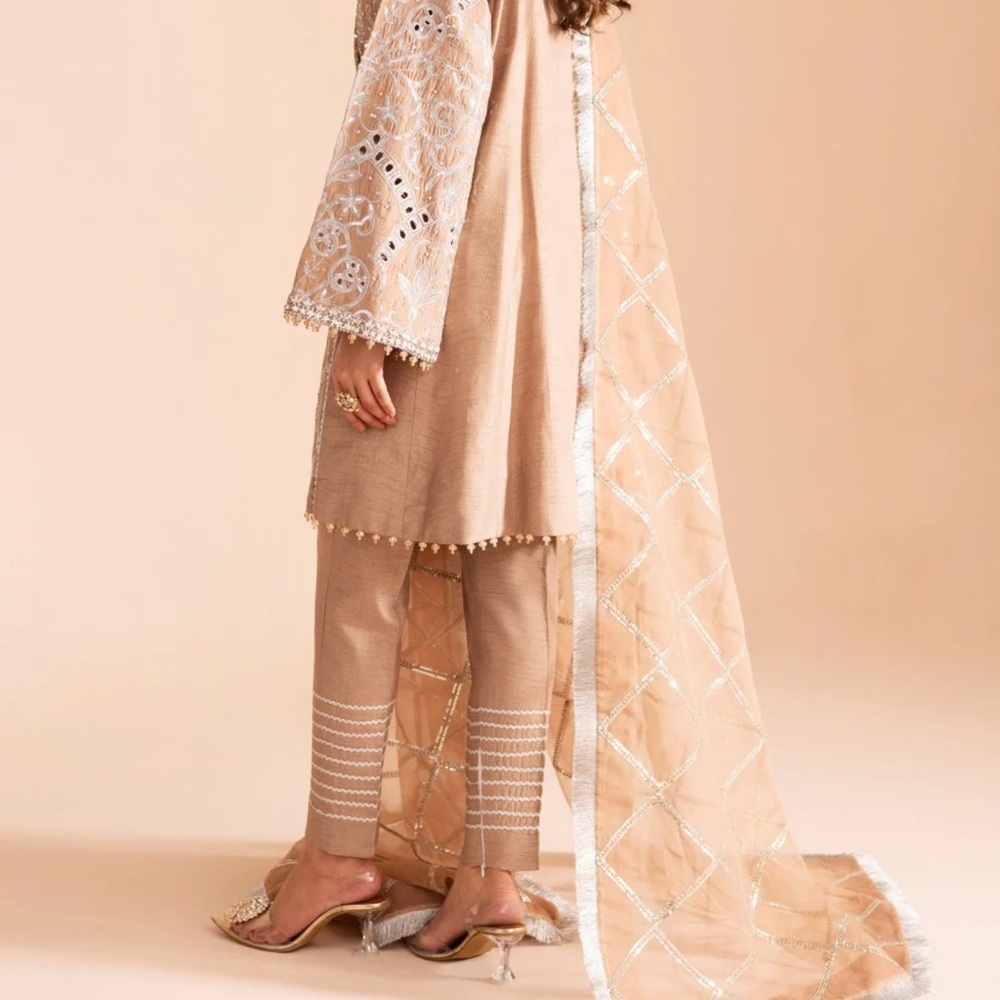 Embroidered Tan and Silver Outfit - Picture 3 of 3